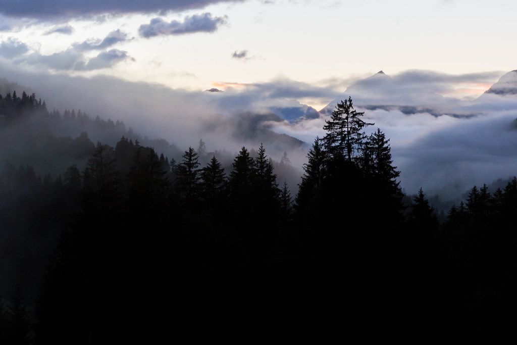 Charming alpine landscape with many trees, low-lying clouds and mountains at the horizon in Tyrol Charming alpine landscape with many trees, low-lying clouds and mountains at the horizon in Tyrol