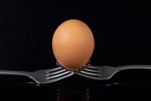 Egg sitting on the crossed forks above black background (Flip 2019) Egg sitting on the crossed forks above black background (Flip 2019)